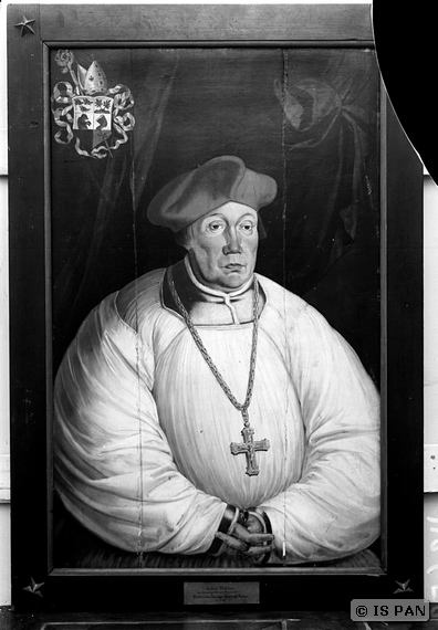 Plik:Portret ferber 1.jpg