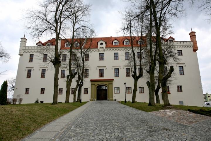 Plik:Zamek ryn 2.jpg
