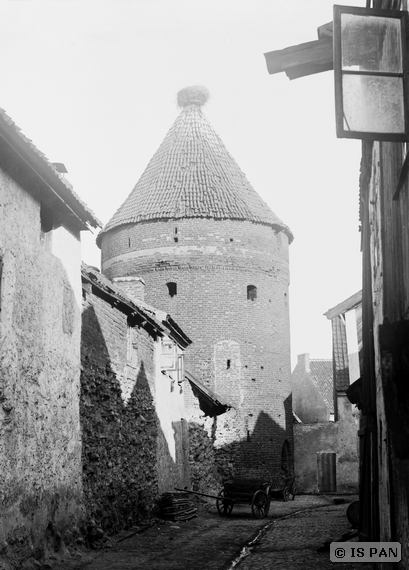 Plik:Baszta bociania dobremiasto 1.jpg