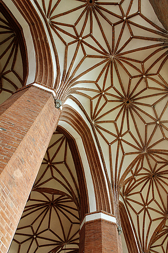 Plik:Sklepienie bazyliki.jpg