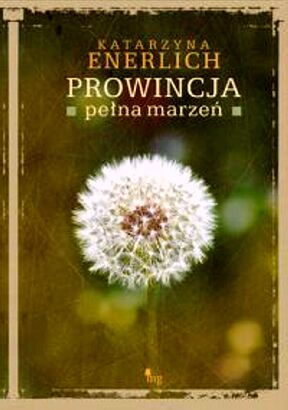 Plik:Ener2.jpg