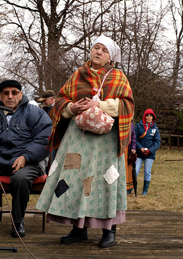 Plik:2010.wi.1.zespol jarzebina ze stradun(11).jpg