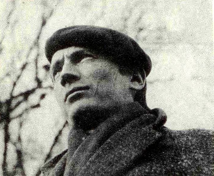 Plik:Mydlak234.jpg
