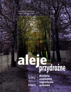 Plik:Lizewska iwona aleje2.jpg