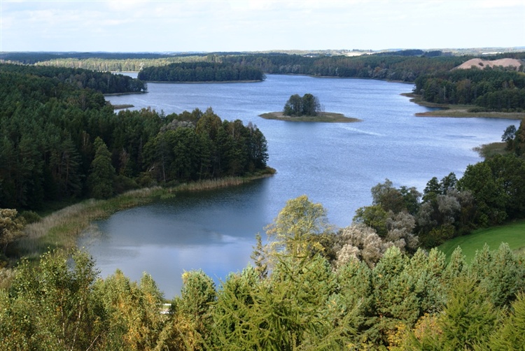 Plik:Kałtki. Jezioro Jędzelewo.jpg