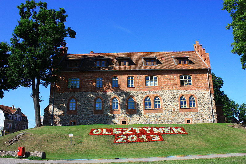 Plik:Zamek w Olsztynku..jpg