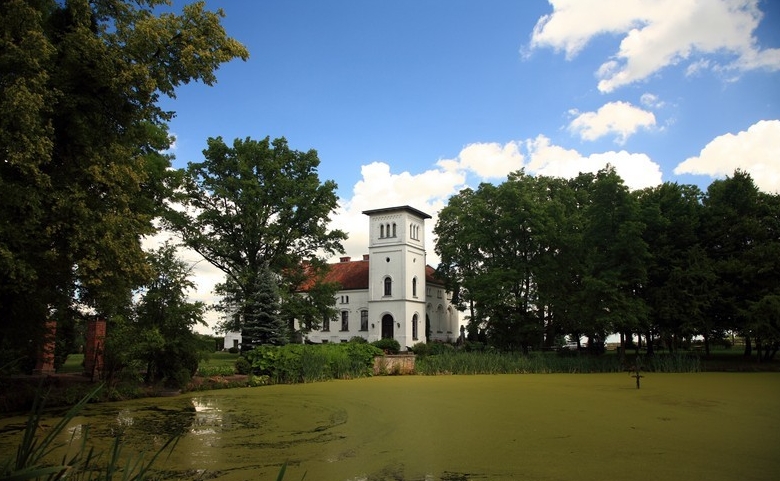 Plik:Staw w zespole pałacowym.jpg