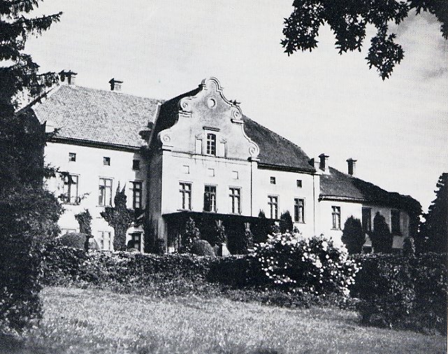 Plik:Januszewo. Pałac w początkach XX wieku.jpg