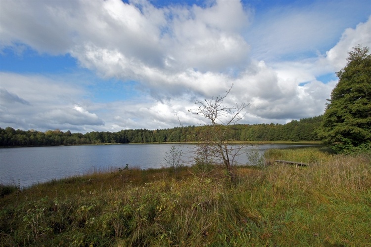 Plik:20140610130247!localcopy bdd982512e64-1.jpg