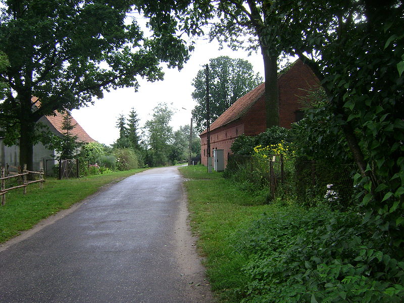 Plik:Współczesne Brajniki.jpg