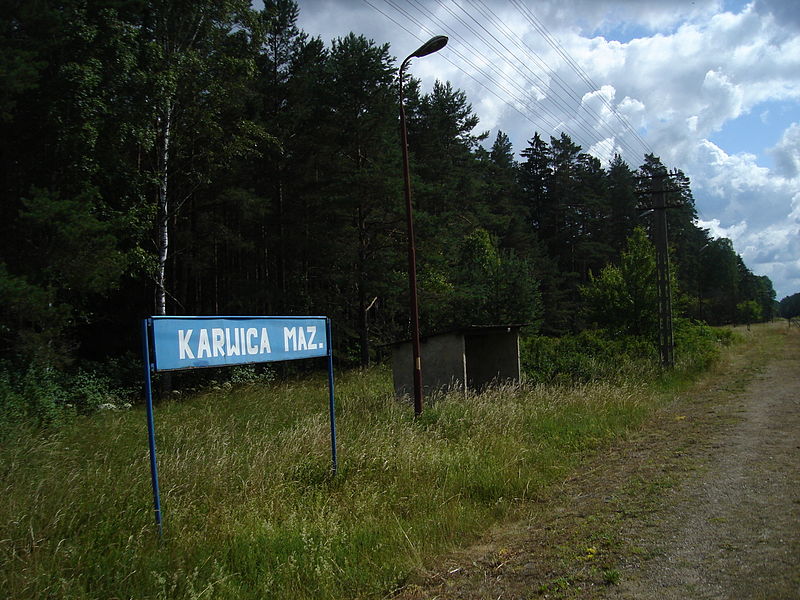Plik:Obrazek-nazwa.jpg