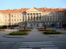 Plik:Bioinż.jpg