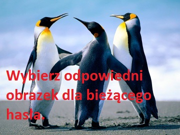 Plik:Pingwiny.jpg