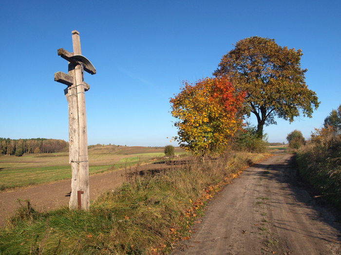 Plik:Brą10.jpg