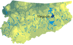 Plik:Niegocinmap.png
