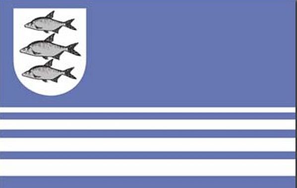 Plik:Gizycko fl.jpg
