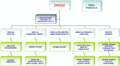 Plik:120px-Struktura fis.gif