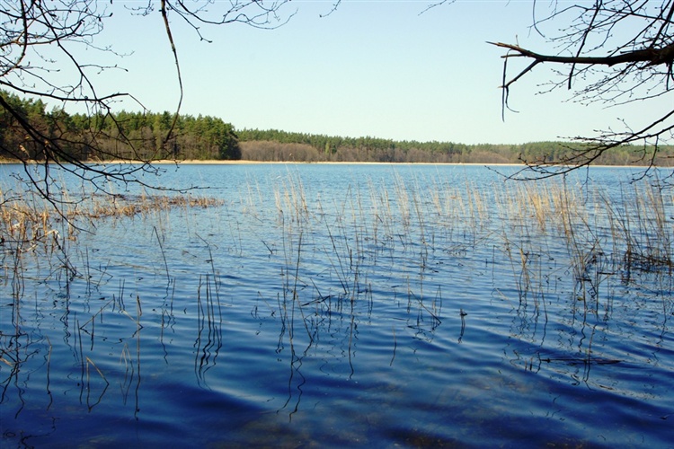 Plik:Jezioro kołowin.jpg