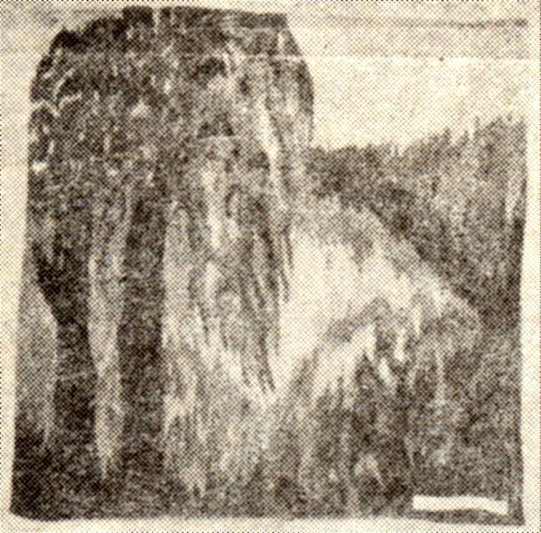Plik:Radomska2.jpg