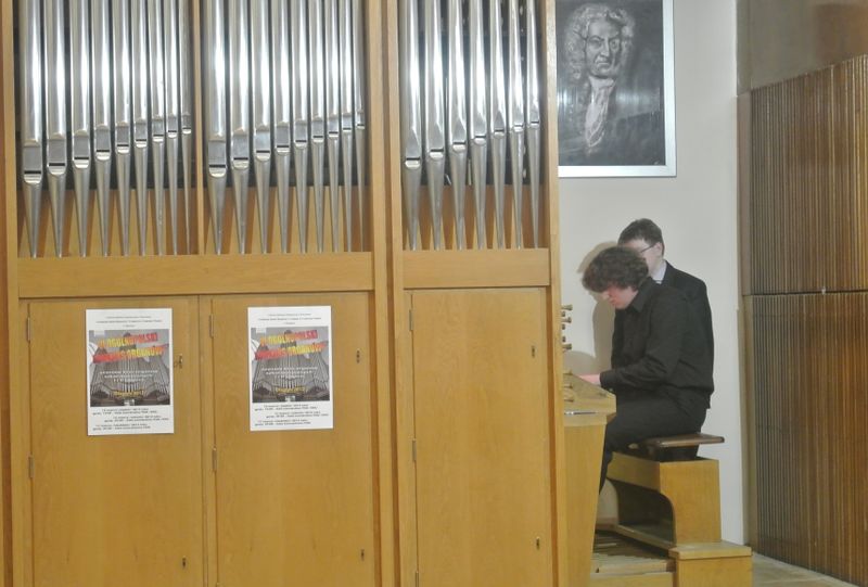 Plik:OKOrg.2013.58.JPG