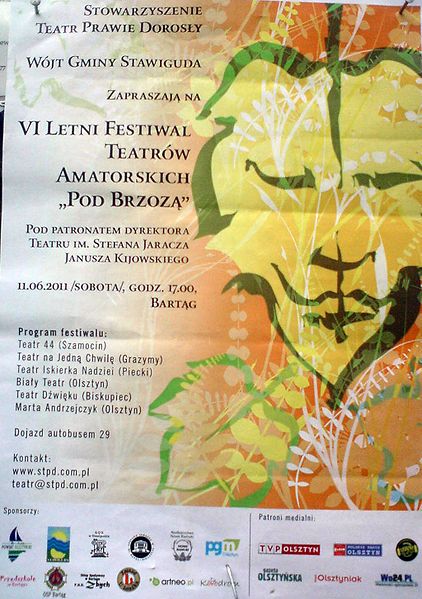 Plik:Brzoza2011.jpg
