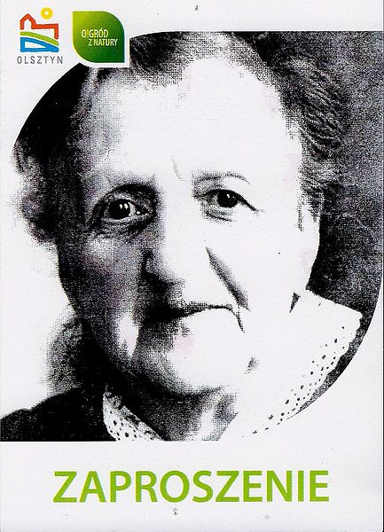 Plik:Malew678.jpg