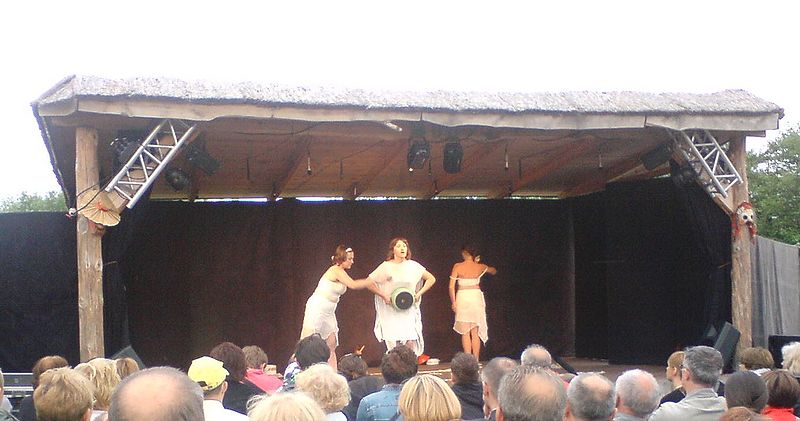 Plik:Brzoza20112.jpg