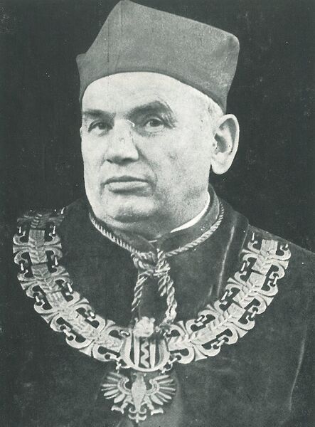 Plik:Prof wanic.jpg