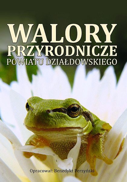 Plik:Perzynski4.jpg