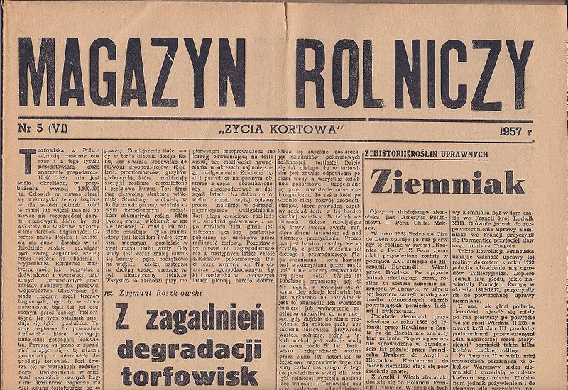 Plik:Zyciekortdod1.jpg