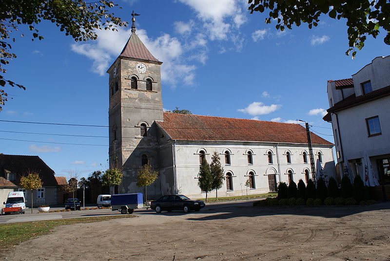 Plik:Wielbark kosc 4.jpg