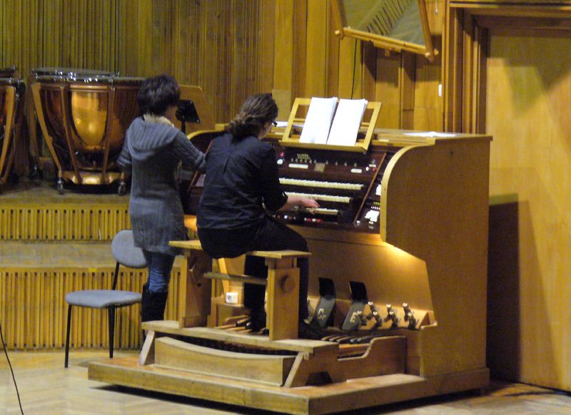 Plik:MKOrg.2011.41.JPG