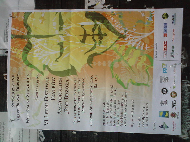 Plik:Brzoza 2011.jpg