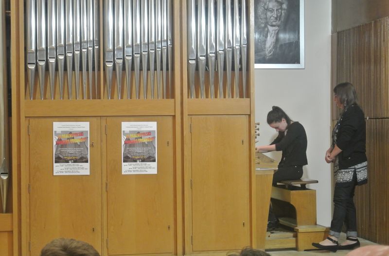 Plik:OKOrg.2013.57.JPG
