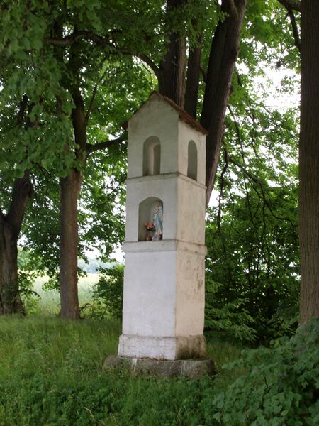Plik:Krz2.jpg
