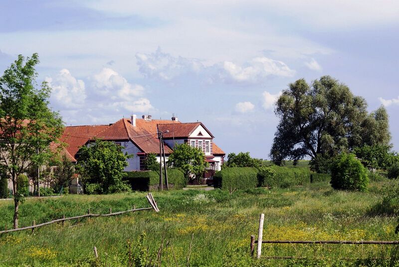 Plik:Lwowiec.jpg