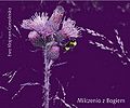 Miniatura wersji z 00:35, 12 kwi 2015
