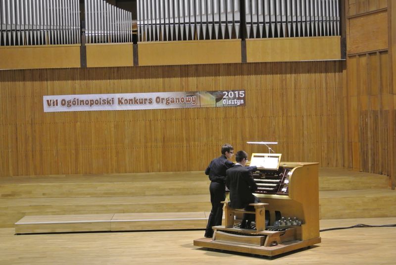 Plik:OKOrg.2015.92.JPG
