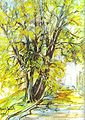 Miniatura wersji z 17:19, 28 sie 2011