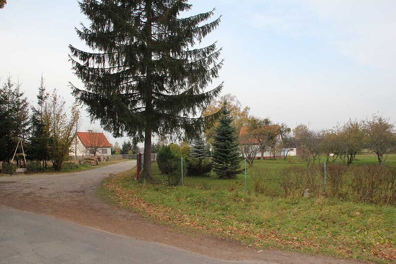 Plik:Krzewno.jpg