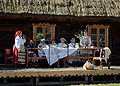 Miniatura wersji z 11:57, 12 lis 2012