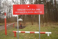 Elżbieta Fabisiak, Jakub Smerek, Tomasz Wawryczuk i Orest Kantor przy tablicy poświęconej olsztyńskim malarzom lat 60. XX w., 2017 r.