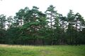 Miniatura wersji z 09:17, 4 sie 2026