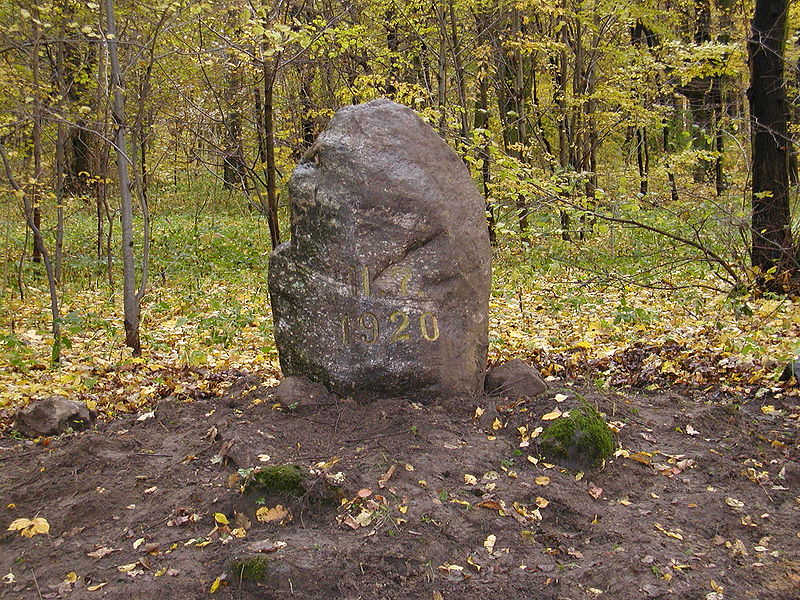 Plik:Plebiscyt1.jpg