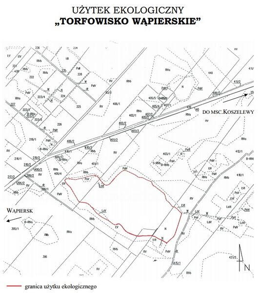 Plik:Wapiersk.jpg