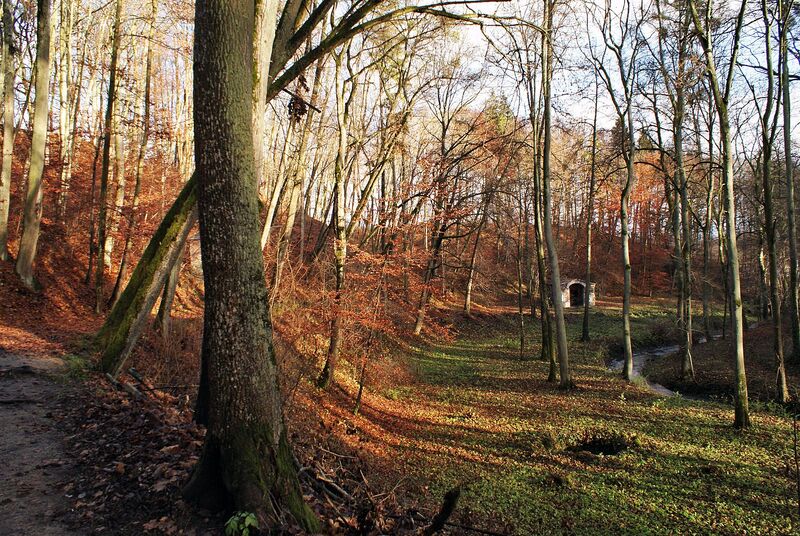 Plik:Glotowo park.jpg
