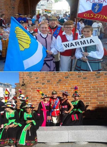 Plik:Acdnifolk.jpg