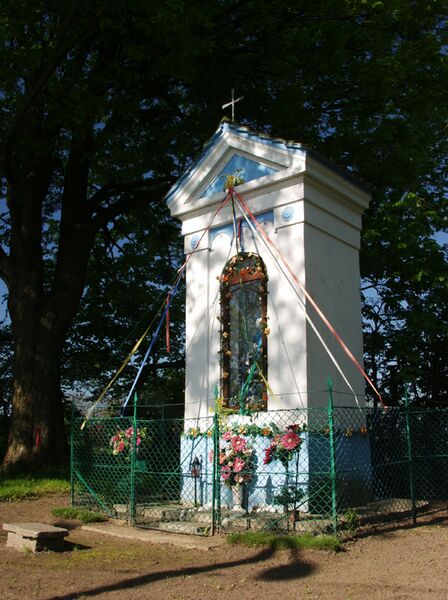 Plik:Bra2.jpg