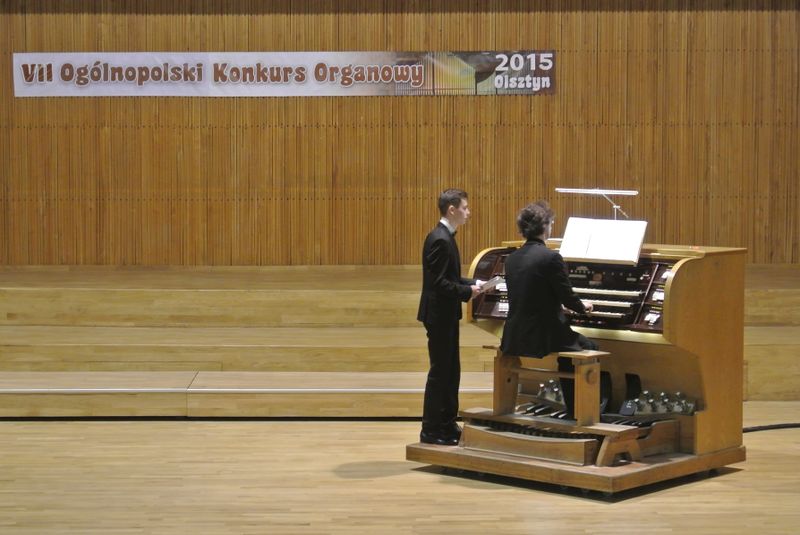 Plik:OKOrg.2015.87.JPG