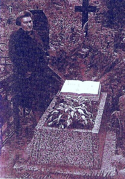 Plik:Gise2.jpg